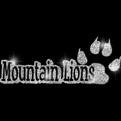 GLT17 SILVER GLITTER Thumbnail